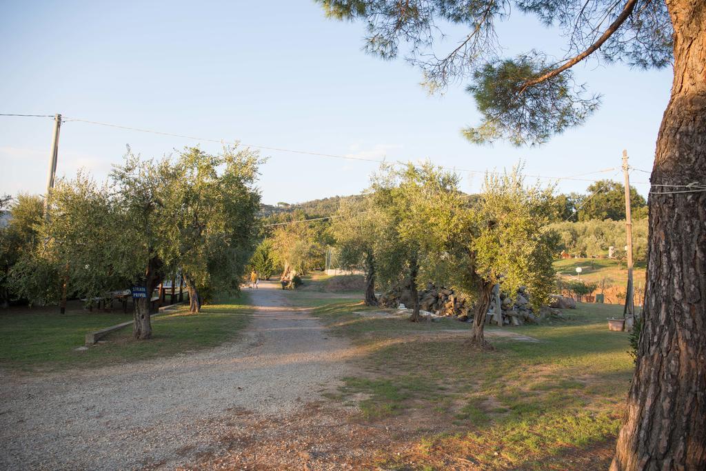 Agriturismo Poggetto Larciano Buitenkant foto